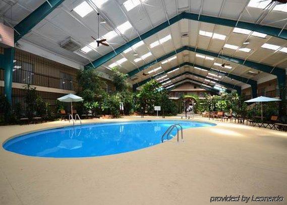 Rodeway Inn Cow Palace Lamar Servizi foto